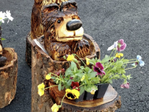 Carve-Me-A-Bear-04-25-25-122