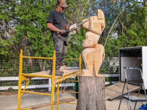 Carve-Me-A-Bear-04-25-25-3