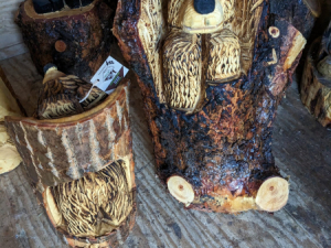 Carve-Me-A-Bear-04-25-25-68