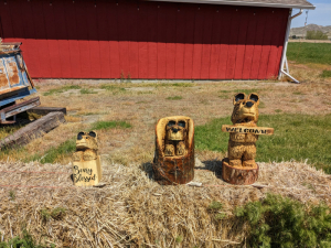 Carve-Me-A-Bear-04-25-25-86