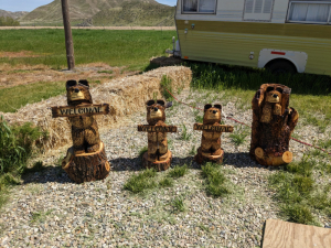 Carve-Me-A-Bear-04-25-25-89