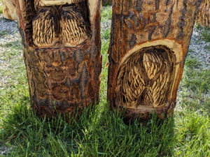 Carve-Me-A-Bear-04-25-25-97