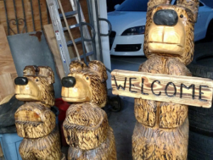 WhatsApp-Image-2025-05-16-at-11.55.43_00990377