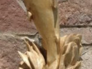 Carve-Me-A-Bear-04-25-25-105