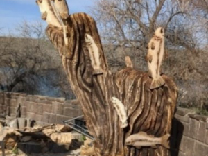 Carve-Me-A-Bear-04-25-25-11