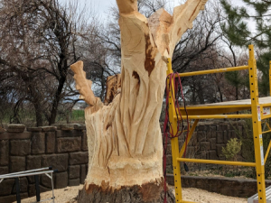 Carve-Me-A-Bear-04-25-25-9