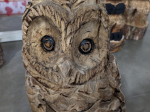 Carve-Me-A-Bear-04-25-25-50