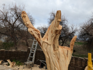 Carve-Me-A-Bear-04-25-25-13