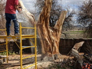 Carve-Me-A-Bear-04-25-25-34