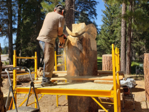 Carve-Me-A-Bear-04-25-25-36