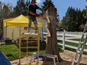 Carve-Me-A-Bear-04-25-25-6