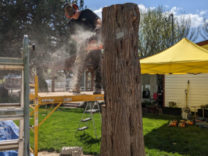 Carve-Me-A-Bear-04-25-25-7