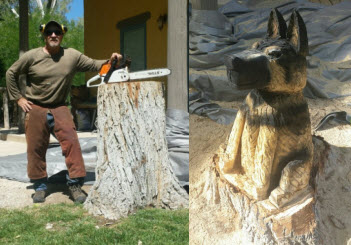 Stump Chainsaw Carving