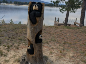 c9dd835b-afbc-428d-b806-378cfec4fe35