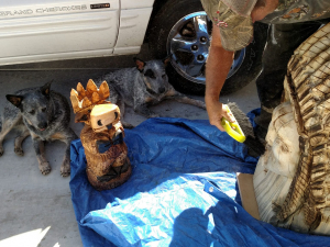 IMG-20250516-WA0023