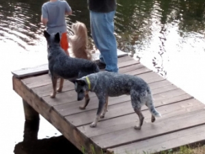IMG-20250516-WA0027
