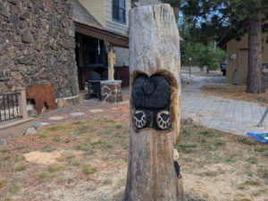 ff690c40-d12c-462d-9849-b6032c85291e